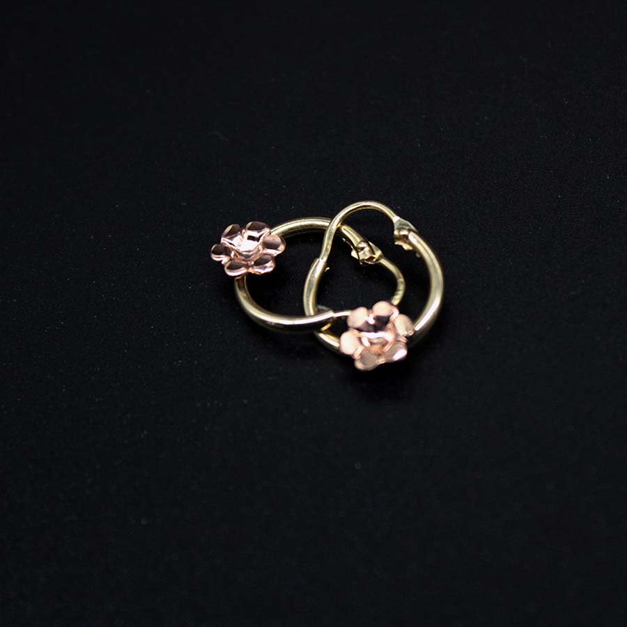 Aretes 19