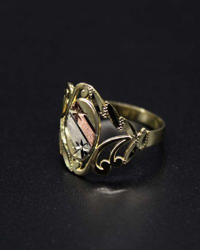 Anillo 13